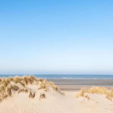 Quaint With Enclosed Garden, Cleaning Included Oostduinkerke